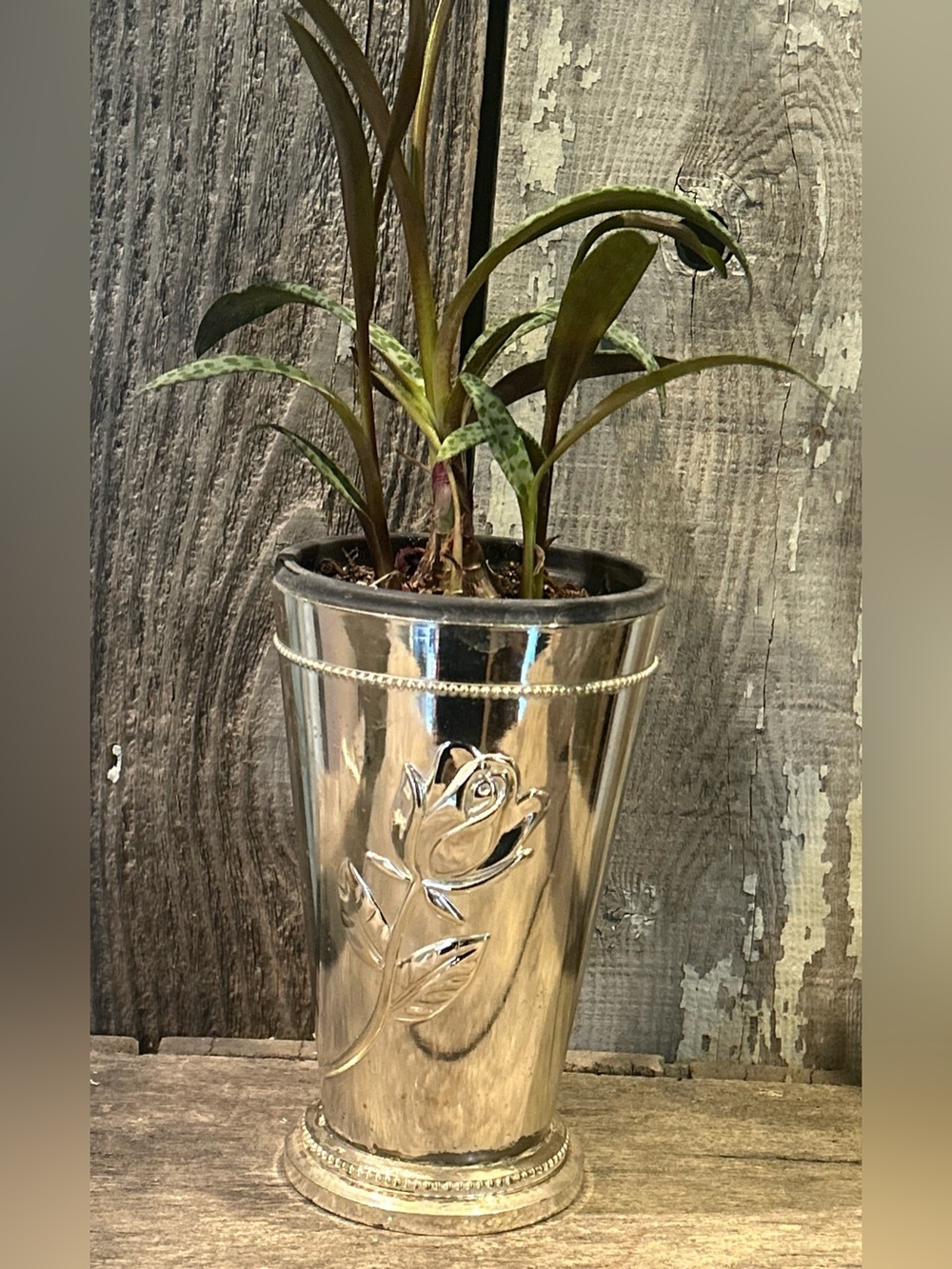 Vintage Teleflora Silver-Plated Embossed Rose Flower Vase